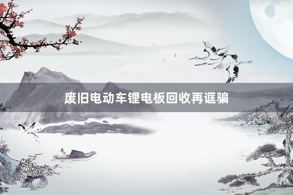废旧电动车锂电板回收再诓骗
