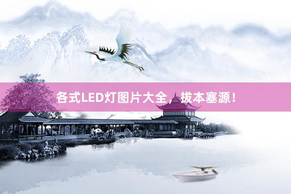 各式LED灯图片大全，拔本塞源！