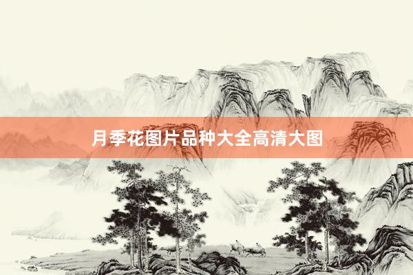 月季花图片品种大全高清大图